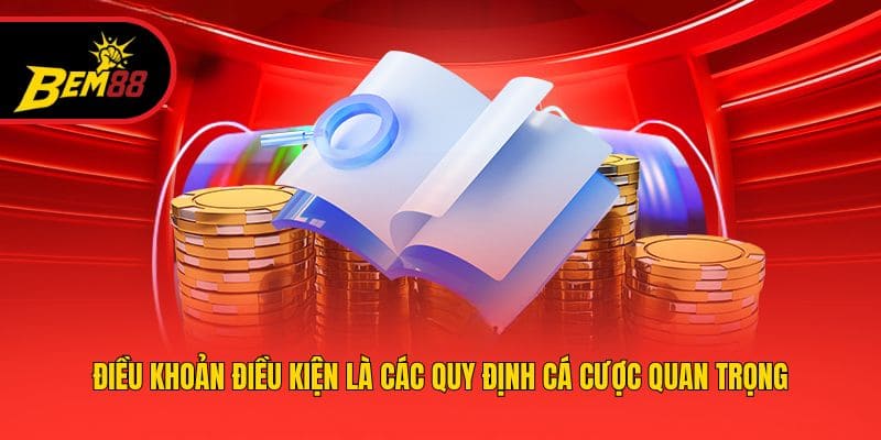 Điều khoản điều kiện là các quy định cá cược quan trọng