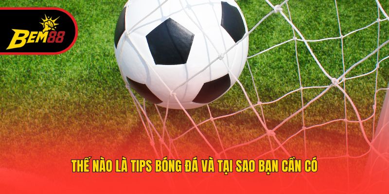  Thế nào là tips bóng đá và tại sao bạn cần có