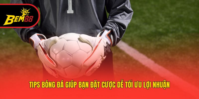 Tips bóng đá giúp bạn đặt cược dễ tối ưu lợi nhuận