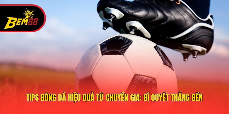 Tips Bóng Đá Hiệu Quả Từ Chuyên Gia: Bí Quyết Thắng Bền